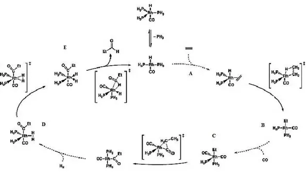 Figura 11. Ciclo catalítico para a hidroformilação (adaptada da referência 51). 