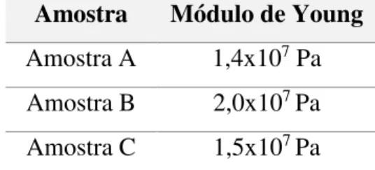 Tabela 3.3 – Número de partículas e massa distribuídos pelos diâmetros da amostra. 