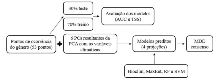 FIGURA 1: Fluxograma representando os métodos de MDE utilizados para prever a distribuição potencial de Phyllocycla no Brasil