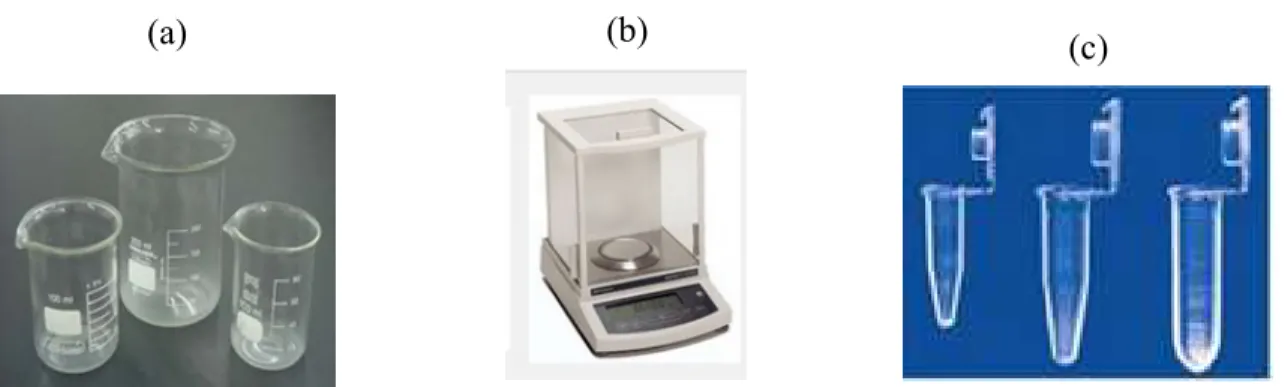 Figura  3.1  –  Materiais  utilizados  para  obtenção  das  amostras  (a)  Béquer,  (b)  Balança  de  precisão  e  (c)  Eppendorf