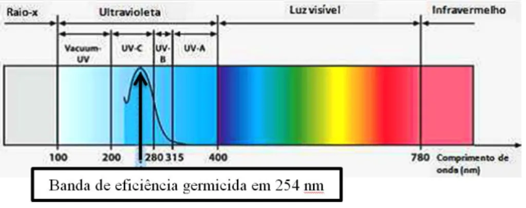 Figura 8: O espectro da luz. 