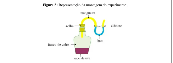 Figura 8: Representação da montagem do experimento. 