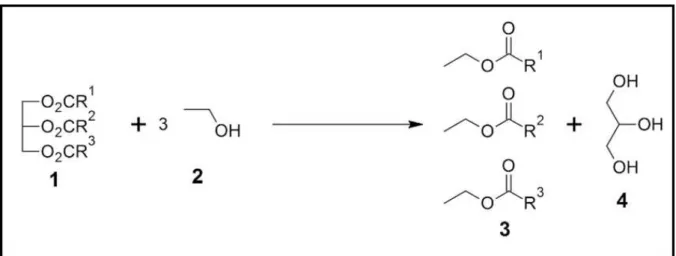 Figura 1. Transesterificação: (1) Trialcilglicerídeos; (2) Catalisador Ácido ou Base; (3) Éster (metílico/etílico); 