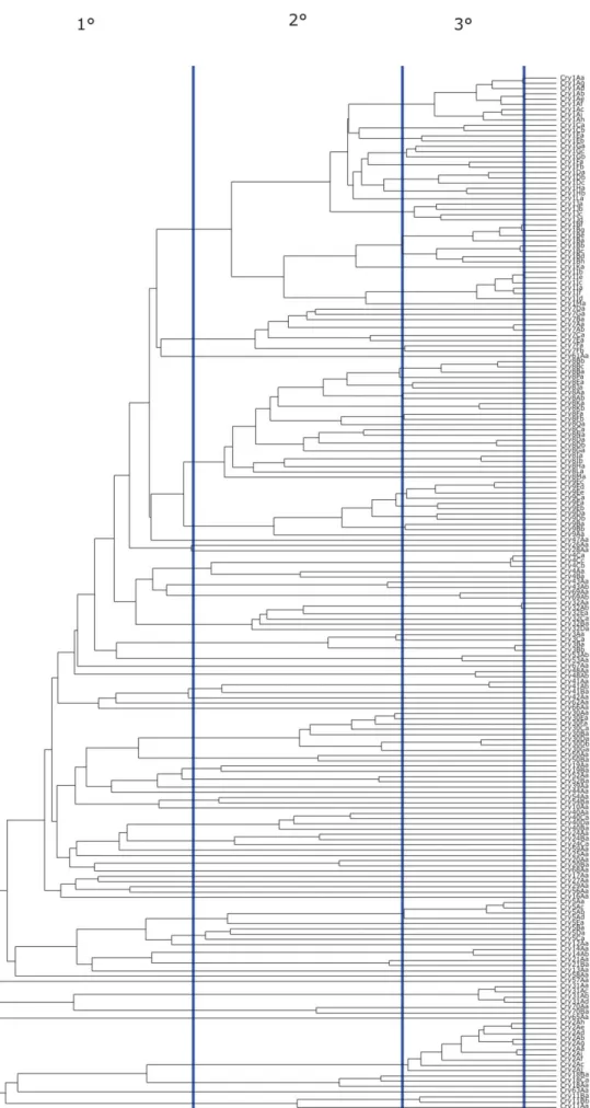Figura 4: Árvore filogenética das toxinas Cry e a organização por categorias.  (Crickmore, N
