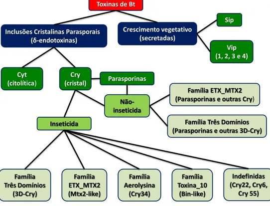 Figura 5: Organograma ilustrando a divisão de grupos e famílias das toxinas produzidas por Bt