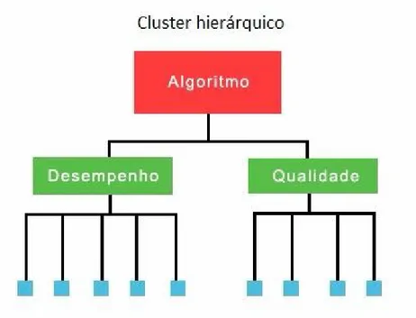 Figura 2.4 apresenta a visualização de um cluster hierárquico. 