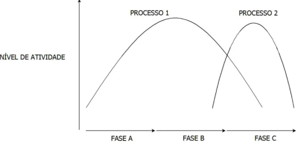 Figura 6 – Níveis de atividade de processos ao longo do ciclo de vida.