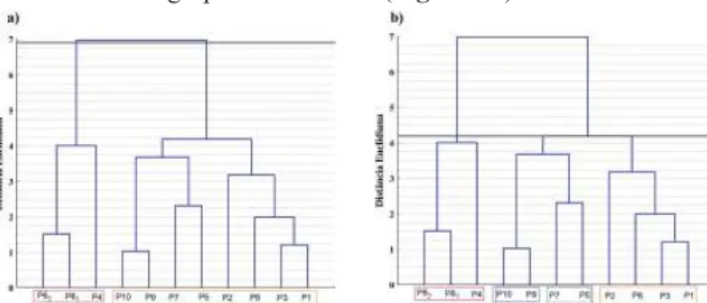 Figura 7 – Dendogramas das inter-relações dos sistemas  pedogenéticos, referentes ao conjunto de atributos: Matéria Orgânica  (MO), Ferro Oxalato (Fe o ), Ferro total (Fe 2 O 3 ), Ferro Ditionito (Fe d ),  Argila, Silte, Areia Fina e SM dos horizontes diag