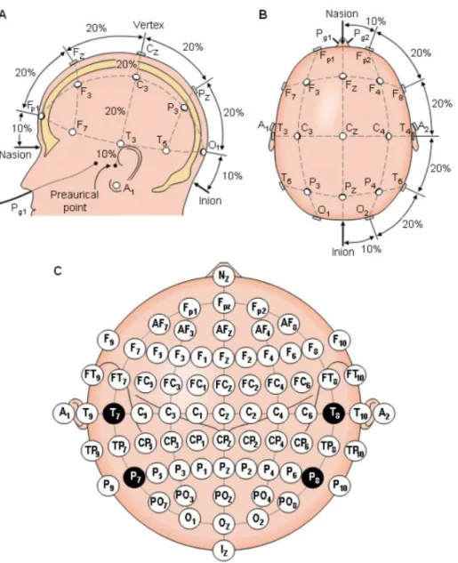 Figure  7. International 10/20 System represented by different perspectives. (A) Sagittal plane, (B) axial plane,  and (C) location and nomenclature of 64 electrodes placement which where used in this study