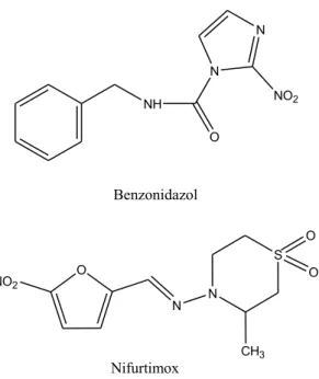 Figura 2- Estruturas dos fármacos Benzonidazol e Nifurtimox.  NH ON N NO 2 Benzonidazol O NO 2 N N S CH 3 O O Nifurtimox Fonte: A autora
