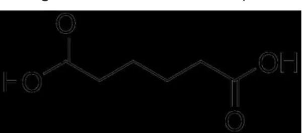 Figura 4: Estrutura do ácido adípico. 