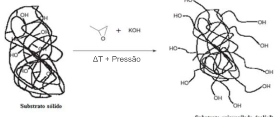 Figura 6: Representação esquemática da reação de oxipropilação de substratos ricos em grupos  hidroxilas e sua conversão em poliol
