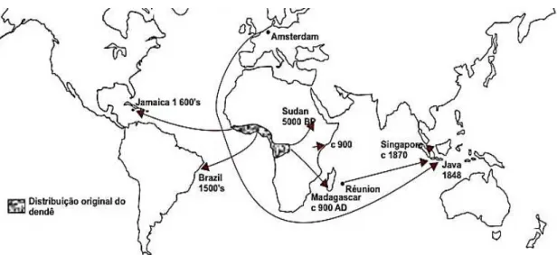 Figura 13 - Distribuição da palma de óleo na África e sua difusão pelo mundo. 