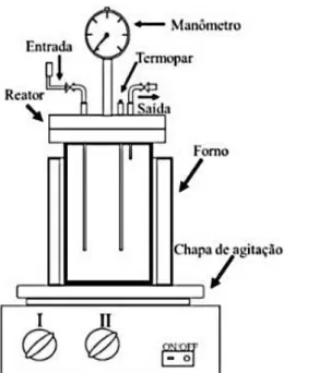 Figura 18  –  Reator batelada utilizado no pré-tratamento do bagaço do fruto da palma de óleo