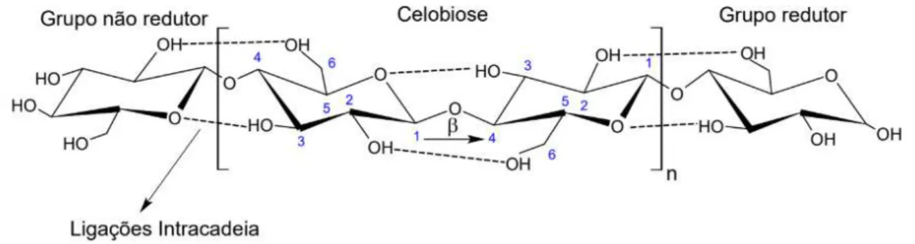 Figura 5  –  Representação da estrutura molecular monomérica da celulose. 