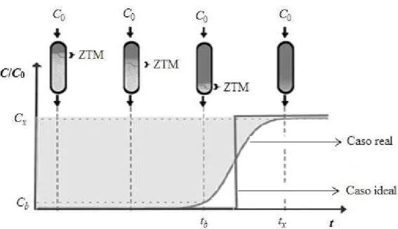 Figura 2.9 – Representação esquemática da zona de transferência de massa em coluna de leito fixo