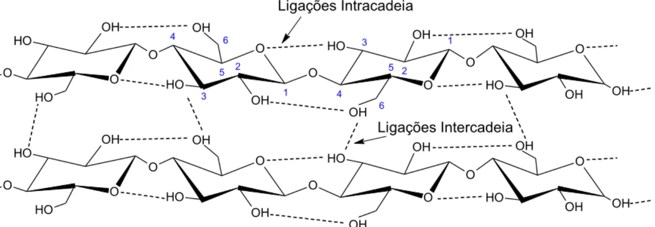 Figura 5  –  Representação das ligações de hidrogênio na estrutura cristalina da celulose