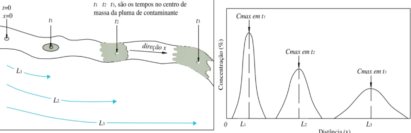 Figura 2.3.  Propagação de uma pluma de contaminação devido ao mecanismo de dispersão