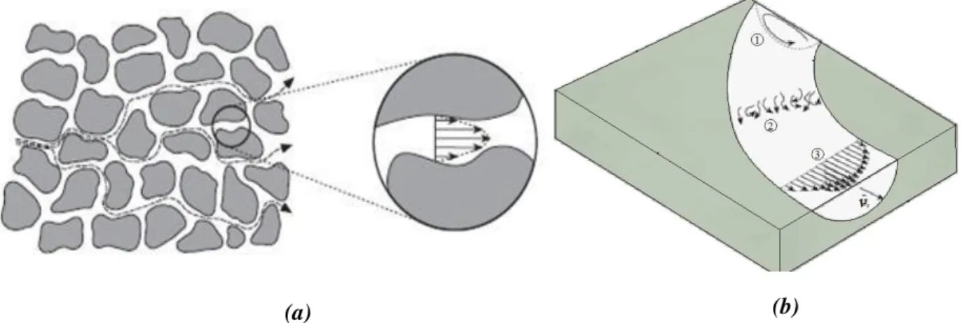 Figura 2.4.  Causas da dispersão mecânica na água e no solo. (a) Variação do fluxo através  das partículas de solo