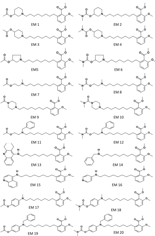 Figura 1.8: Padr˜ao de Estrutura Molecular 2 (PEM-2).
