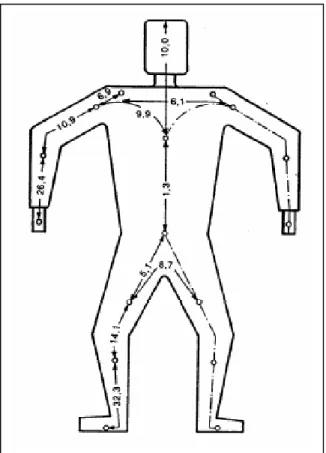 Figura 3.23. Impedâncias Internas do Corpo humano (AS/NZS 60479.1:2001) [42]. 