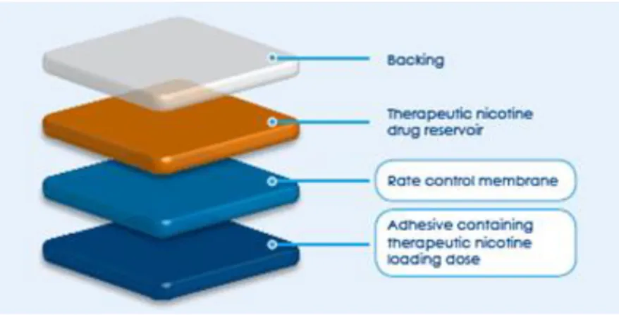 Figura 4.1: Representação da estrutura do dispositivo transdérmico NiQuitin TM2 . 