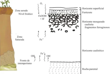 Figura 3.1 - Perfil de solo laterítico e mobilidade do ferro nos diferentes horizontes (Butt, 1987)