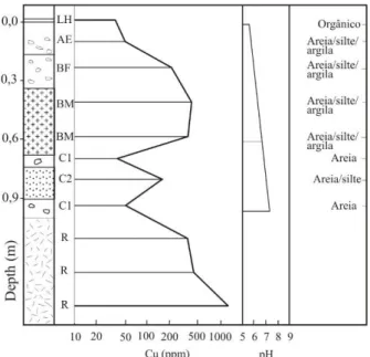 Figura 3.2 - Perfil de solo mostrando maiores teores de cobre no horizonte B textural (Moon et  al., 2006)