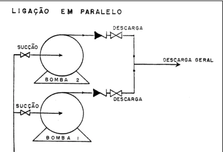 Figura 2.7  –  Configuração de duas bombas conectadas em paralelo (PINTO, 2013). 