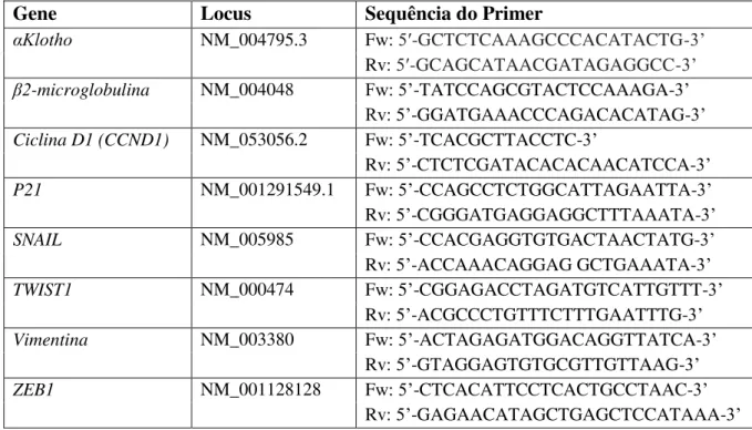 Tabela 1. Sequência dos primers para os genes alvo analisados por qPCR 