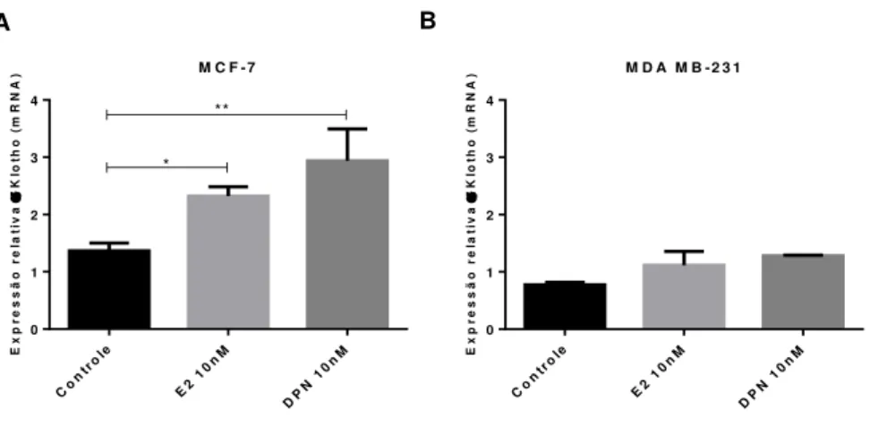 Figura 3. Expressão do mRNA de  α Klotho após o uso de agonistas de ER em linhagens de câncer de  mama