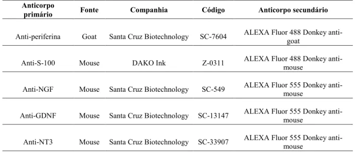 Tabela 1: Anticorpos primários e secundários para imunohistoquímica de periferina, S-100 e  neurotrofinas 