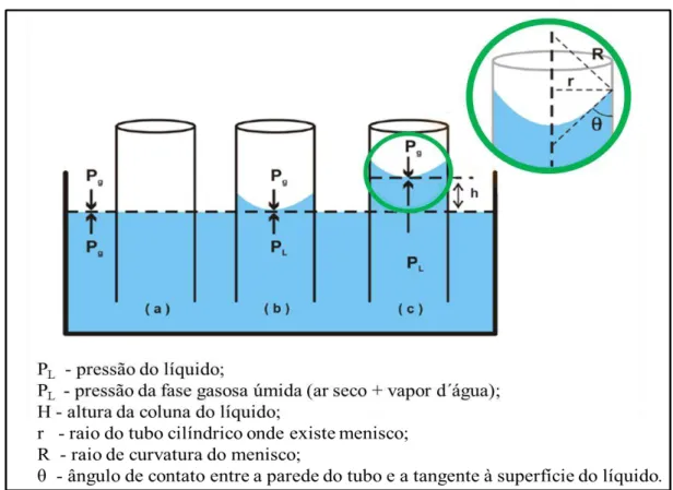 Figura 2.14 – Esquema do desenvolvimento de menisco e movimentação de um liquido em  um tubo capilar (adaptado MORTIMER, 2008)