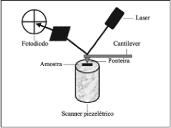 Figura 3. Esquema dos componentes básicos de um microscópio de força atômica [5]. 