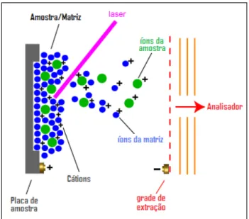 Figura 11. Processo de ionização por dessorção a laser auxiliada por matriz [20]. A mistura  amostra/matriz co-cristalizada é irradiada por um laser