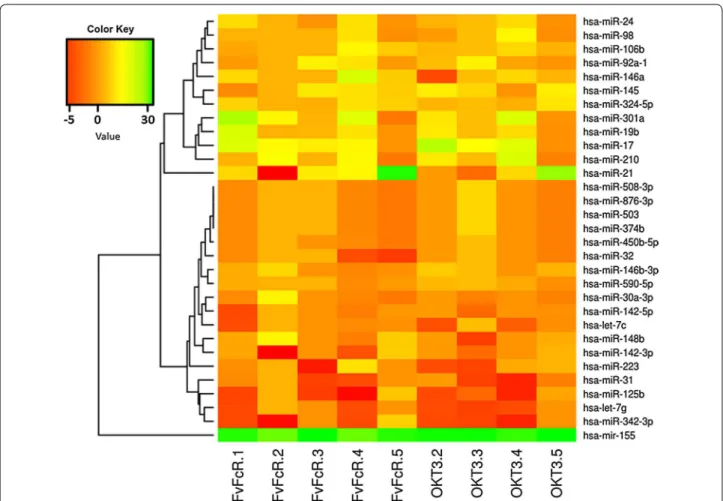 Fig. 1  miRNA expression profile in T cells. Cluster analysis of 31 differentially expressed miRNAs in CD3 +  T cells collected from healthy donors  (n  =  4–5)