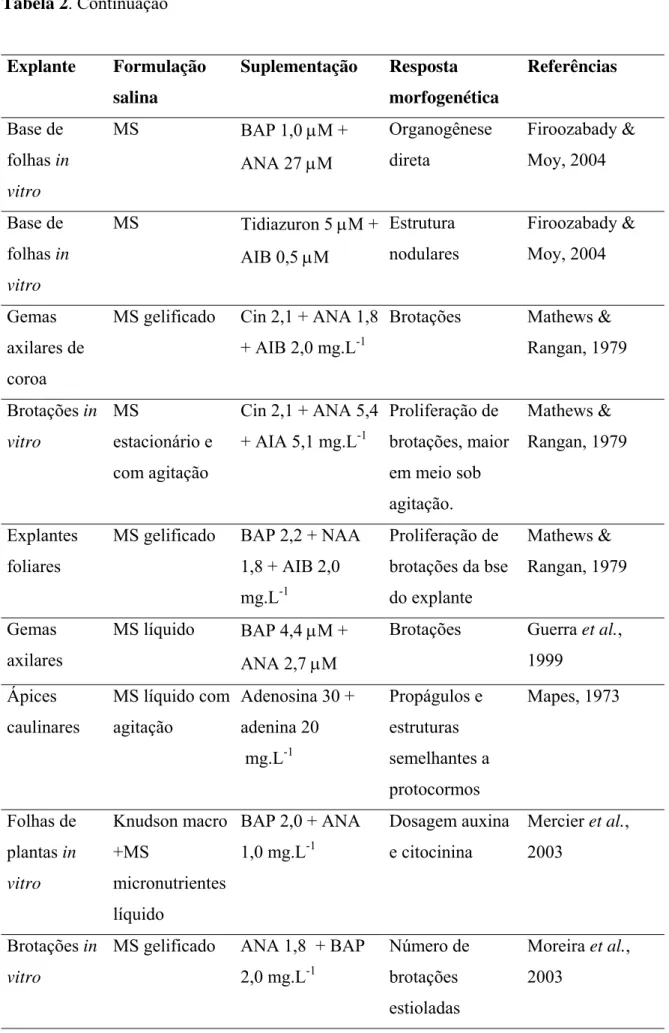 Tabela 2. Continuação Explante Formulação salina Suplementação Resposta morfogenética Referências Base de folhas in vitro MS BAP 1,0 µM +ANA 27 µM Organogênesedireta Firoozabady &amp;Moy, 2004 Base de folhas in vitro MS Tidiazuron 5 µM +AIB 0,5 µM Estrutur