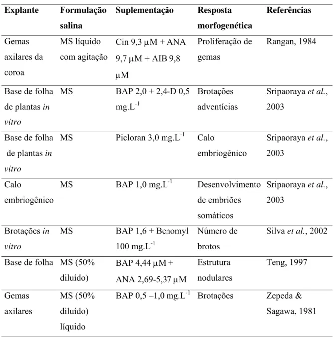 Tabela 2. Continuação Explante Formulação salina Suplementação Resposta morfogenética Referências Gemas axilares da coroa MS líquido com agitação Cin 9,3 µM + ANA9,7 µM + AIB 9,8 µM Proliferação degemas Rangan, 1984 Base de folha de plantas in vitro MS BAP