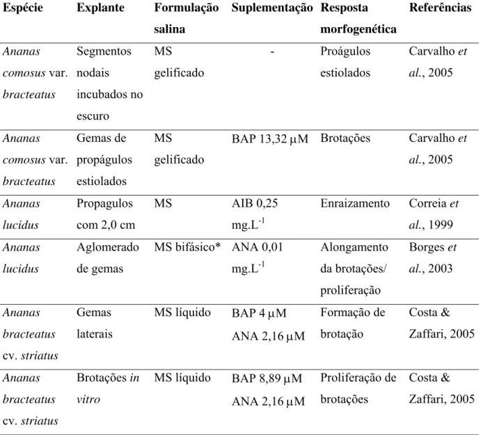 Tabela 3. Relação do tipo de explante, formulação salina, suplemento hormonal e resposta morfogenética de genótipos de abacaxizeiro ornamental cultivados in vitro