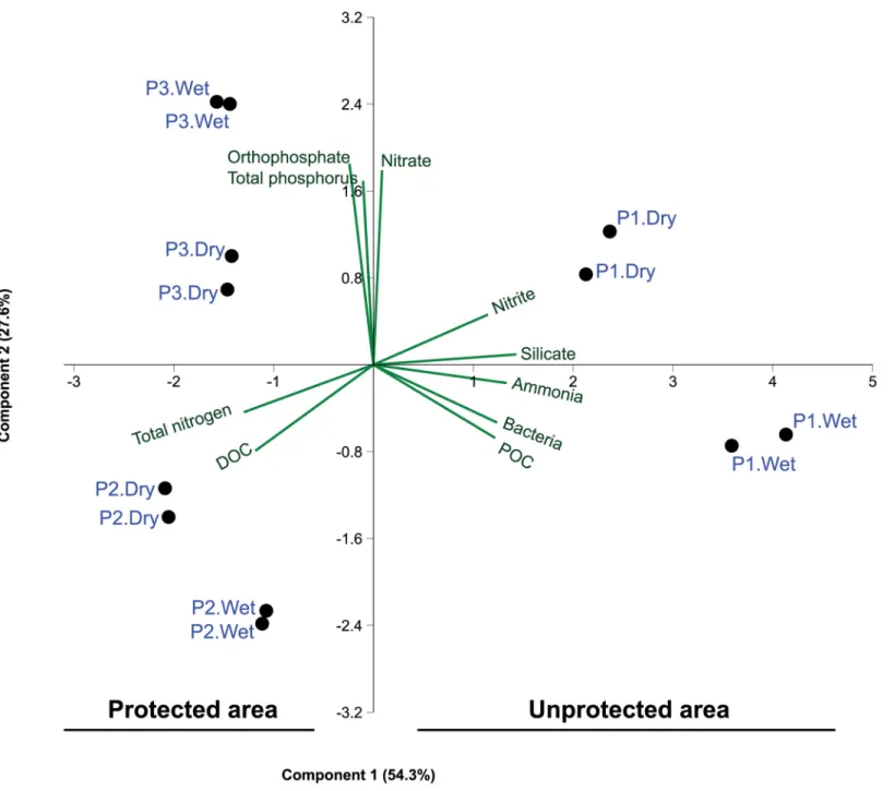 Fig 2. Principal component analysis (PCA) of the physicochemical parameters and bacterial community of Paraguaçú River water samples obtained from three sites (P1, unprotected area; P2 and P3, protected areas) during both wet and dry seasons