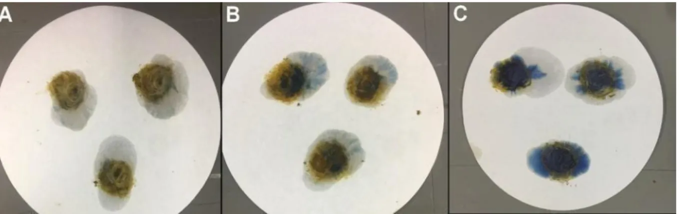 Figura 01. Escore utilizado nesse estudo para graduar a presença de sangue oculto fecal em  cães diabéticos