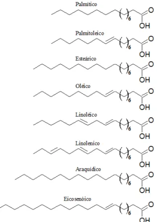 Figura 2. Principais ácidos graxos compostos nos óleos e gorduras 