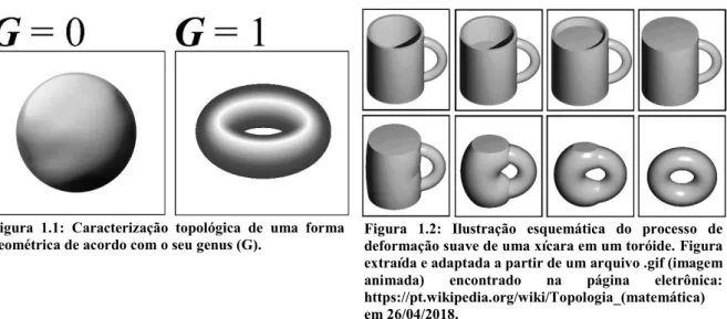 Figura  1.1:  Caracterização  topológica  de  uma  forma 