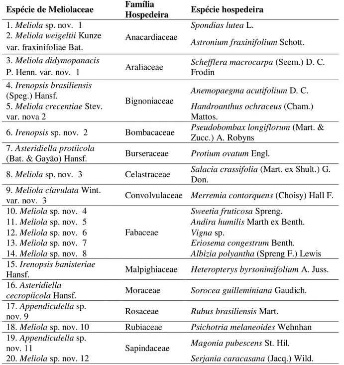 Tabela 1. Espécies de Meliolaceae descritas e ilustradas e suas respectivas hospedeiras