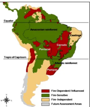 Figura 1. Biomas do Brasil dependentes/influenciados pelo fogo,   sensível ao fogo, independentes do fogo 