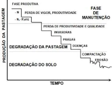 Figura  3:  Representação  gráfica  simplificada  do  processo  de  degradação  de  pastagens  cultivadas em suas diferentes etapas no tempo 