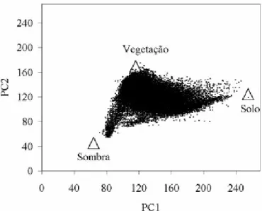 Figura 12: Diagrama de dispersão dos componentes principais 1 e 2, sendo ∆ os componentes puros  localizados no vértice desse (64.000 pixels correspondente ao projeto)