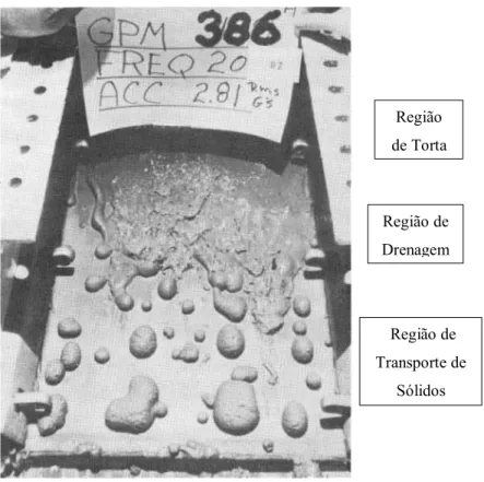 Figura 2.12 – Regiões de separação em uma peneira com inclinação descendente. Fonte: Hoberock (1980)