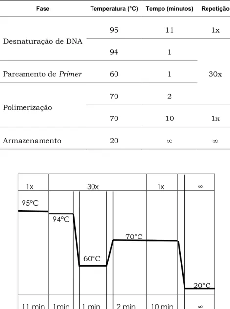 Tabela 8. Ciclagem da reação de PCR 