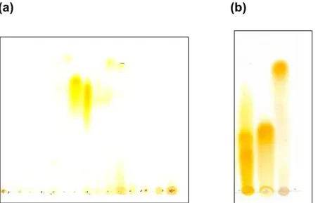 Figura  3:  Perfil  cromatográfico em  sílicagel  das  frações  do  EHPF  provenientes  da coluna em Sephadex LH20, fase móvel BAW (n-butanol:ácido acético:água-4:1:5 v/v) reveladas com NP/PEG (solução metanólica 1% de ácido dienilbórico-2-aminoetil-éster 